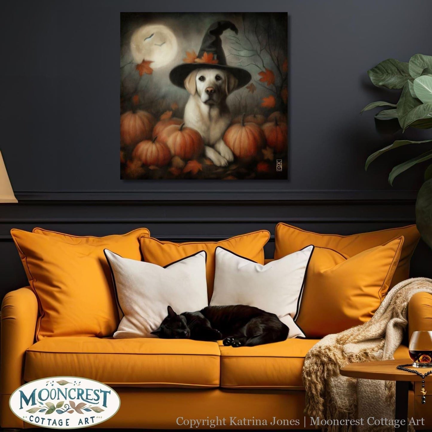 a dog laying on a couch with a witches hat on