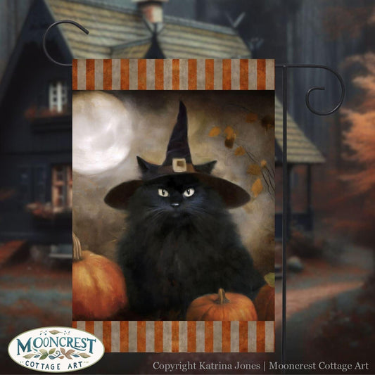 a black cat wearing a witches hat sitting in front of a house