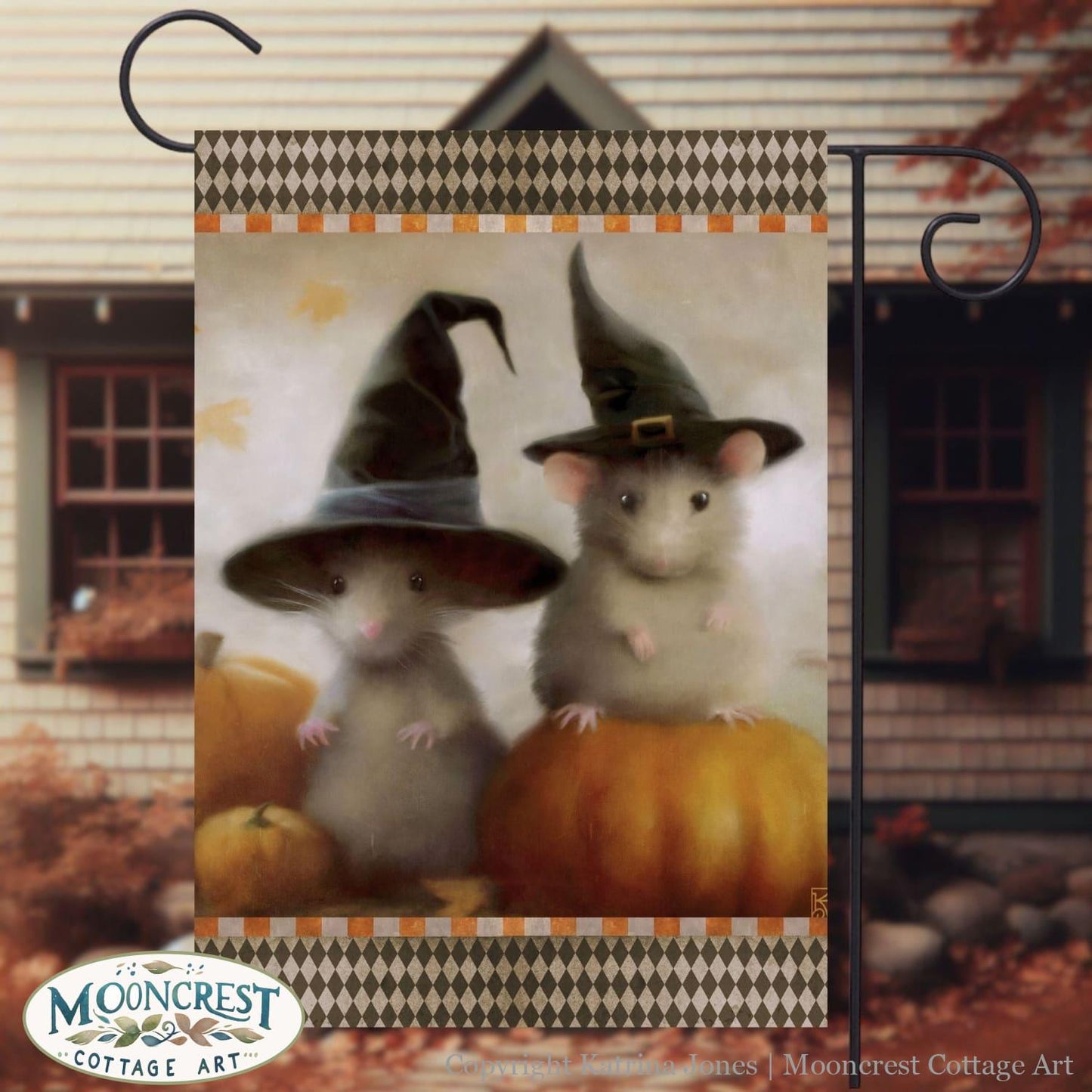 a picture of two mice dressed up as witches