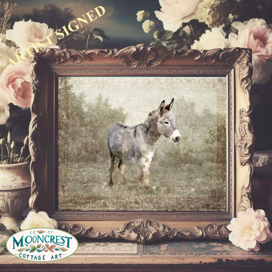 Vintage French Country Donkey Art Print
